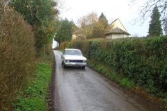 23_Daffdoil_Run_-196
