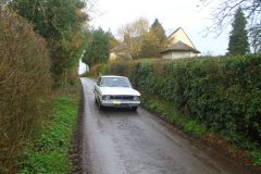 23_Daffdoil_Run_-197