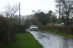 23_Daffdoil_Run_-266