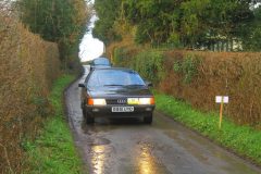 23_Daffdoil_Run_-338