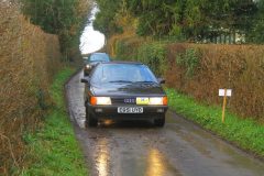 23_Daffdoil_Run_-339