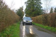 23_Daffdoil_Run_-350