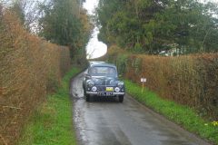 23_Daffdoil_Run_-358