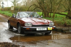 19_HRCR_Daffodil-1023