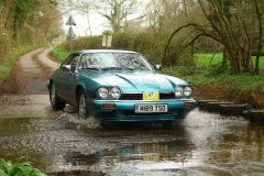 19_HRCR_Daffodil-1026