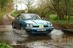 19_HRCR_Daffodil-1027