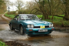 19_HRCR_Daffodil-1028