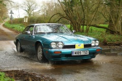 19_HRCR_Daffodil-1029
