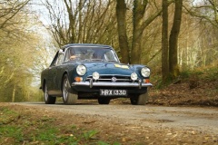 19_HRCR_Daffodil-1052