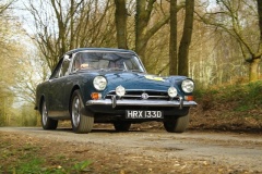 19_HRCR_Daffodil-1053