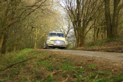 19_HRCR_Daffodil-1054