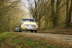 19_HRCR_Daffodil-1055