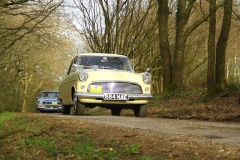 19_HRCR_Daffodil-1056