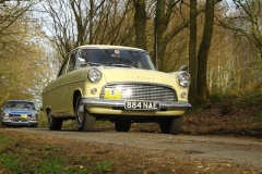19_HRCR_Daffodil-1057