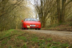 19_HRCR_Daffodil-1066
