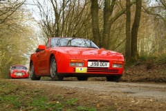 19_HRCR_Daffodil-1068