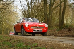 19_HRCR_Daffodil-1075