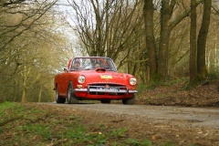 19_HRCR_Daffodil-1078