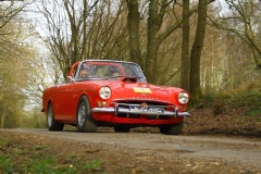 19_HRCR_Daffodil-1079