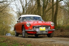 19_HRCR_Daffodil-1083