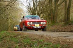 19_HRCR_Daffodil-1091