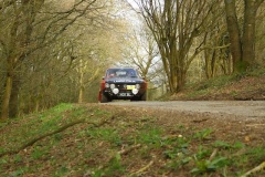 19_HRCR_Daffodil-1095