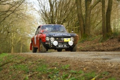 19_HRCR_Daffodil-1097
