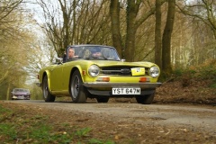 19_HRCR_Daffodil-1102