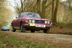 19_HRCR_Daffodil-1129