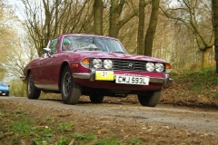 19_HRCR_Daffodil-1130