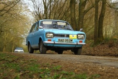 19_HRCR_Daffodil-1137