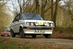 19_HRCR_Daffodil-1141