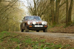 19_HRCR_Daffodil-1148
