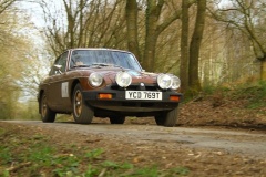 19_HRCR_Daffodil-1150