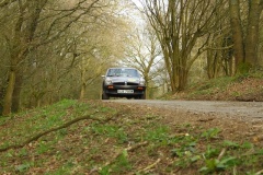 19_HRCR_Daffodil-1151