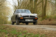 19_HRCR_Daffodil-1152