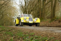 19_HRCR_Daffodil-1154