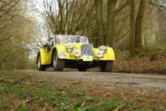 19_HRCR_Daffodil-1155