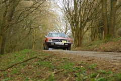 19_HRCR_Daffodil-1158