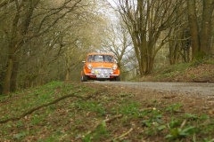 19_HRCR_Daffodil-1166