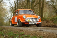 19_HRCR_Daffodil-1170