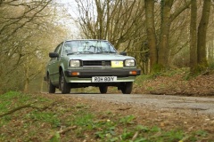 19_HRCR_Daffodil-1172
