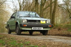 19_HRCR_Daffodil-1174