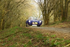 19_HRCR_Daffodil-1179