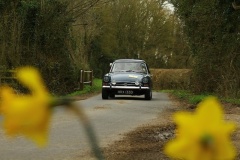 19_HRCR_Daffodil-683