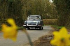 19_HRCR_Daffodil-684
