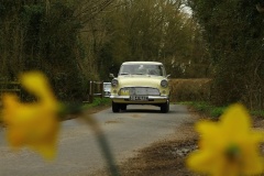 19_HRCR_Daffodil-687