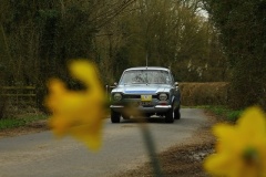 19_HRCR_Daffodil-691