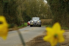 19_HRCR_Daffodil-692