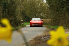 19_HRCR_Daffodil-698